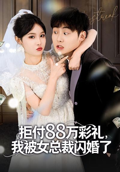 拒付 88 万彩礼，我被女总裁闪婚了}