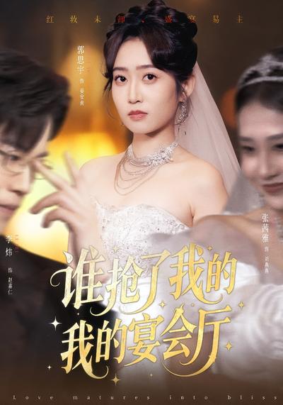 谁抢了我的宴会厅}