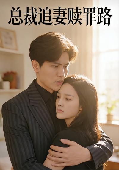 总裁追妻赎罪路}
