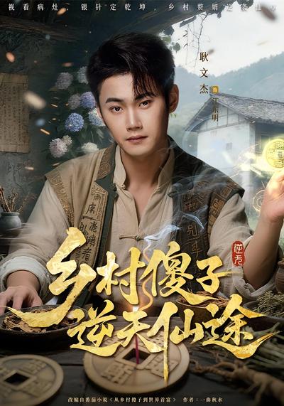乡村傻子逆天仙途}