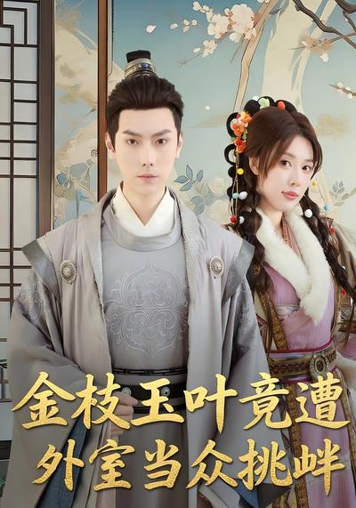 金枝玉叶竟遭外室当众挑衅}