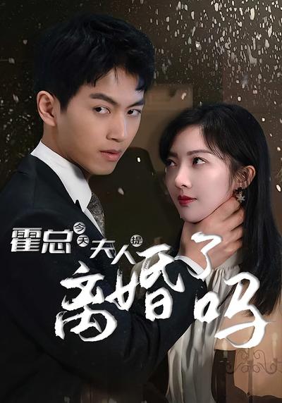 霍总 今天夫人提离婚了吗}