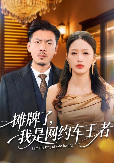 摊牌了，我是网约车王者}