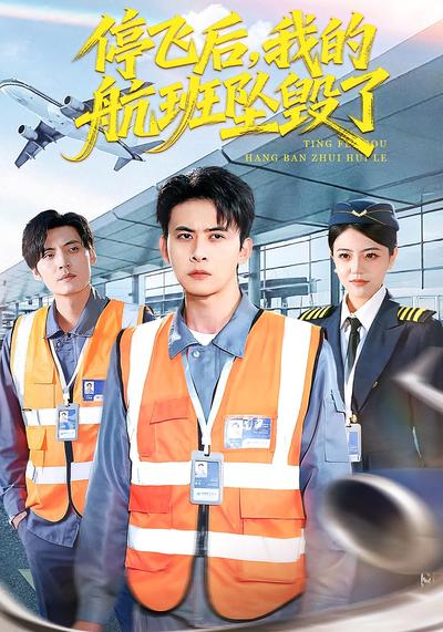 停飞后，我的航班坠毁了}