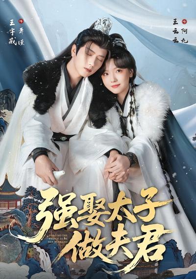 强娶太子做夫君}