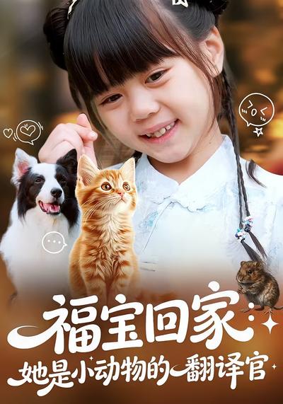 福宝回家：她是小动物的翻译官}