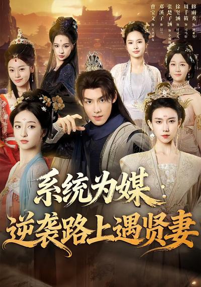 系统为媒：逆袭路上遇贤妻}