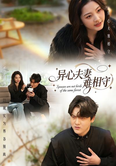 异心夫妻难相守}