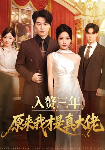 入赘三年，原来我才是真大佬}