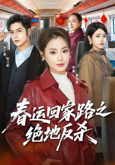 春运回家路之绝地反杀}