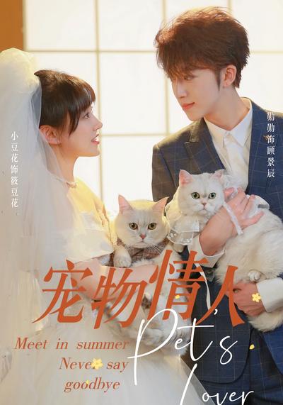 宠物情人}