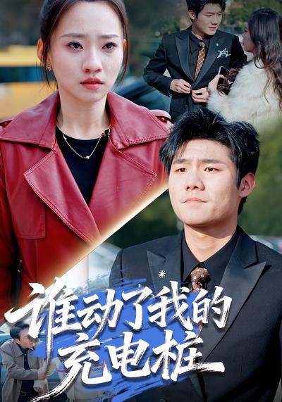 谁动了我的充电桩}