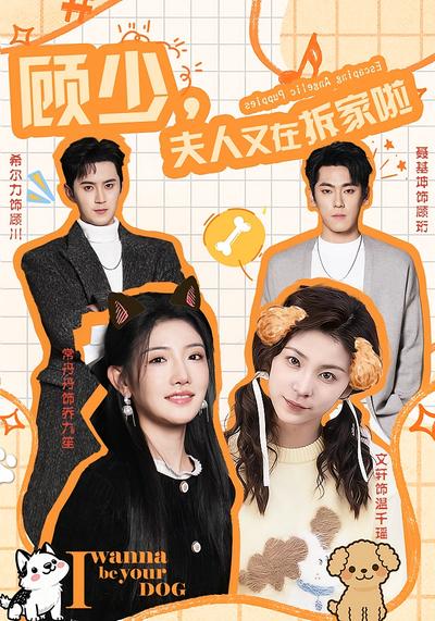 顾少，夫人又在拆家啦}