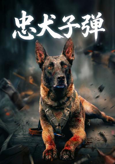 忠犬子弹}