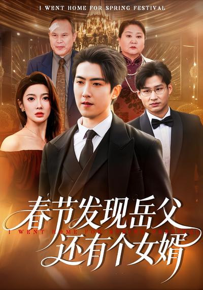 春节发现岳父还有个女婿}